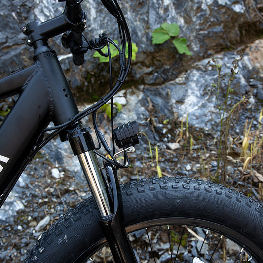Professional electric bicycle for adults, 26 x 4.0 inch fat tire electric mountain bicycle, 1000W 48V 15Ah motor, e-bike for trail riding, excursion and commute, UL and GCC certified.