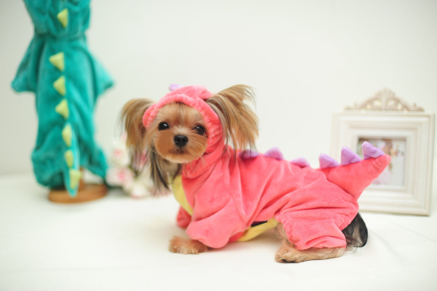 Funny Pet Dog Halloween Dinosaur Transformation Costume