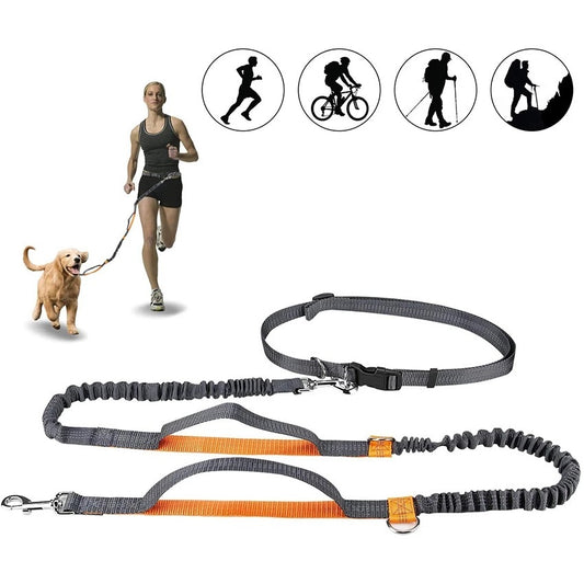 Harness Collar Jogging Adjustable Pet Leash Leash Leash