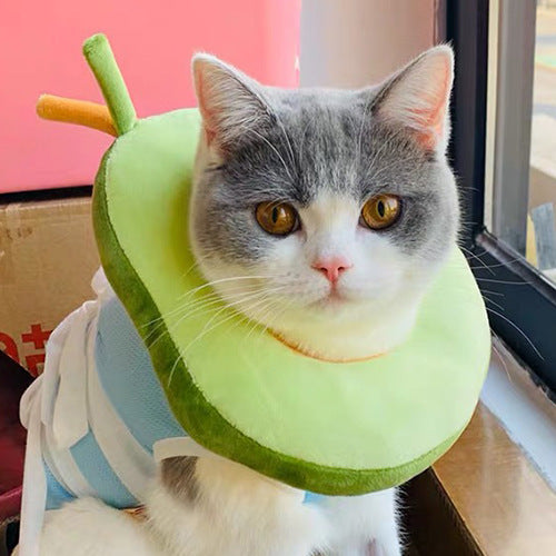 PET
