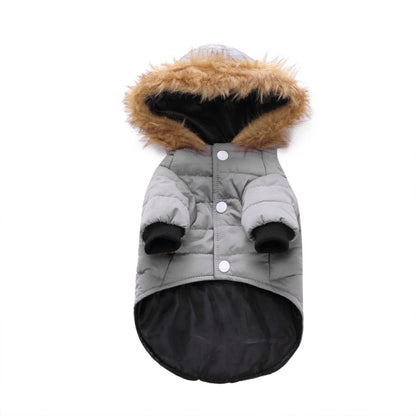 Winter clothes for pets 