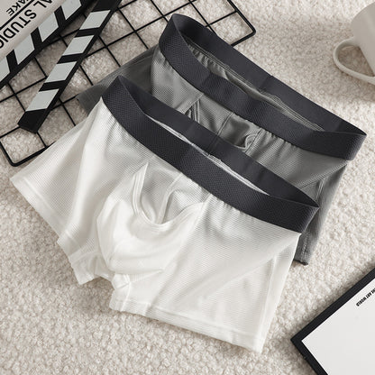 Men's Ice Silk Boxer Mesh Underwear