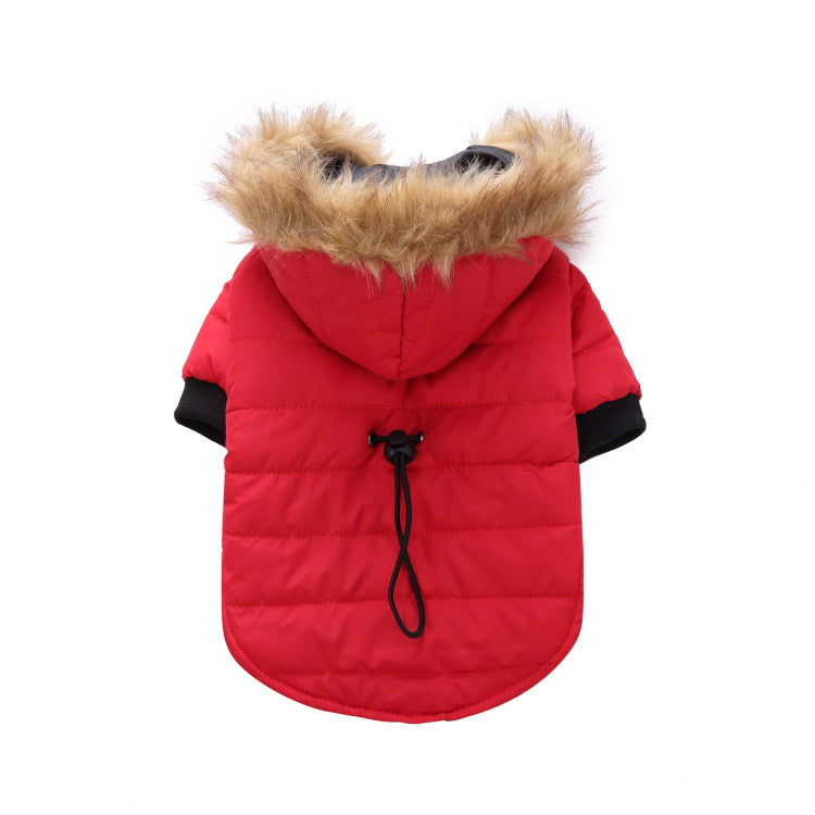 Winter clothes for pets 