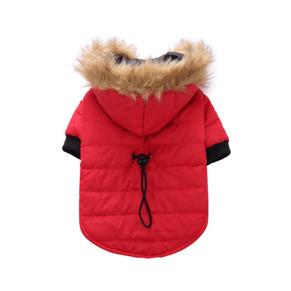 Winter clothes for pets 