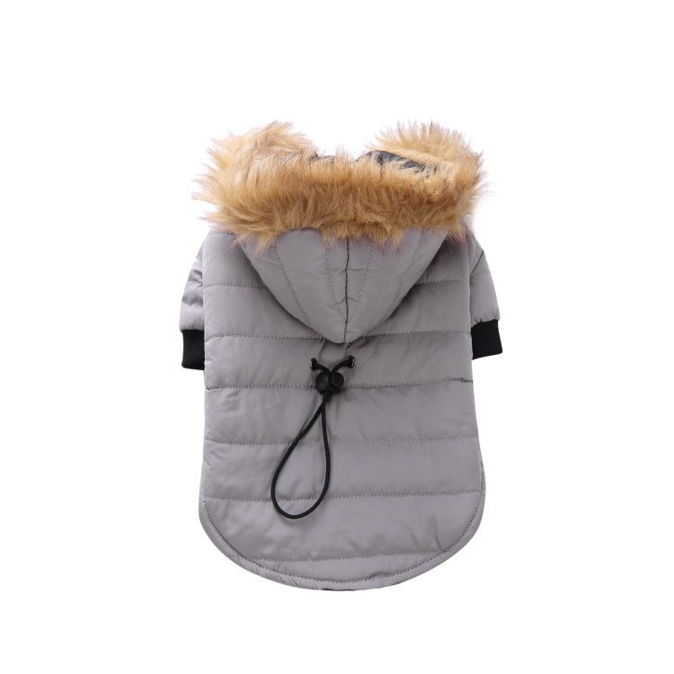 Winter clothes for pets 