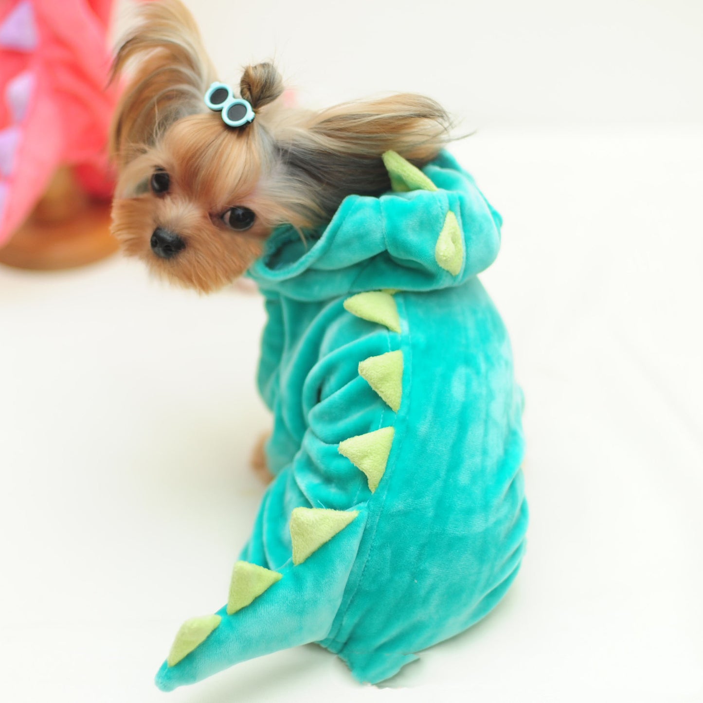 Funny Pet Dog Halloween Dinosaur Transformation Costume