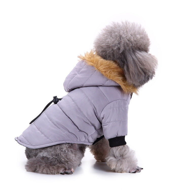 Winter clothes for pets 
