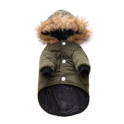 Winter clothes for pets 
