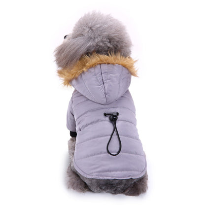 Winter clothes for pets 