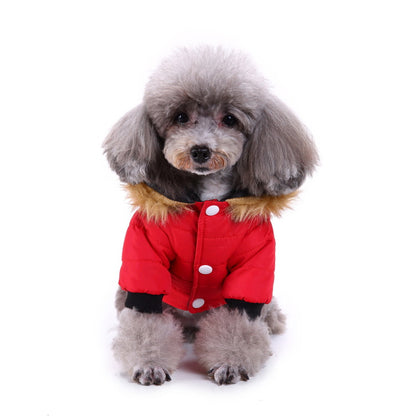 Winter clothes for pets 