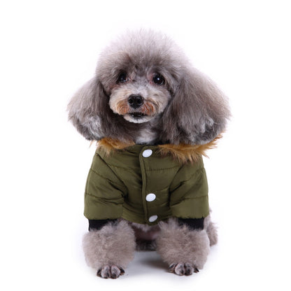 Winter clothes for pets 