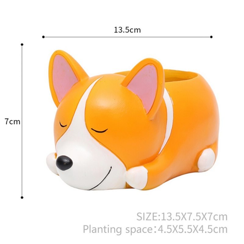 Pot of sleeping succulent flowers for pets
