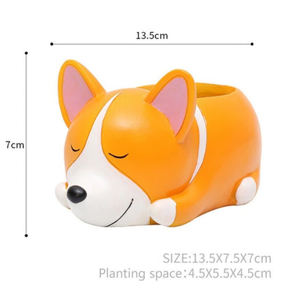 Pot of sleeping succulent flowers for pets