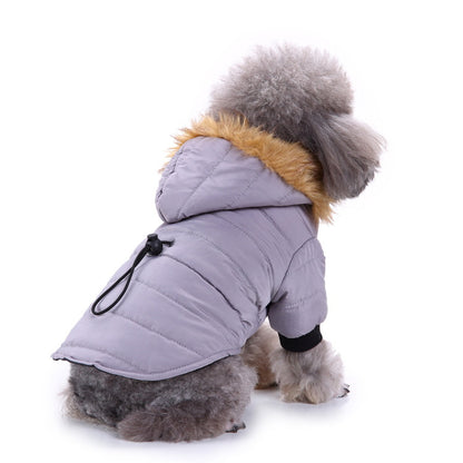 Winter clothes for pets 
