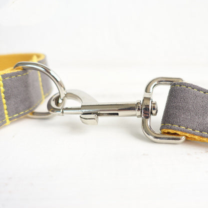 MUTTCO Pet Leash Set