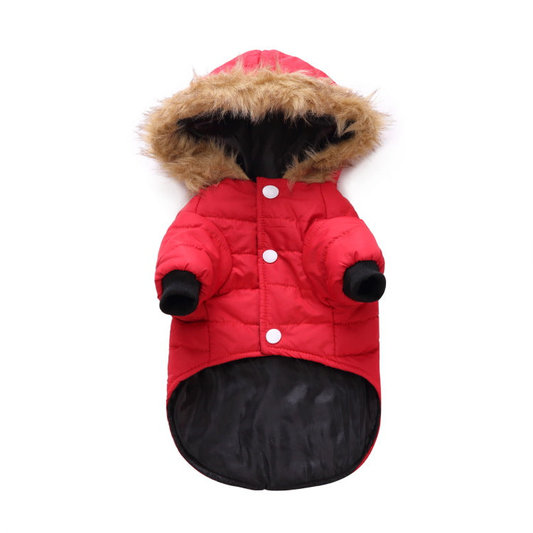 Winter clothes for pets 