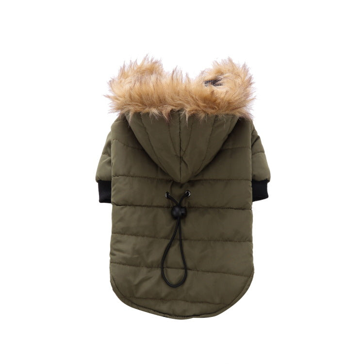 Winter clothes for pets 