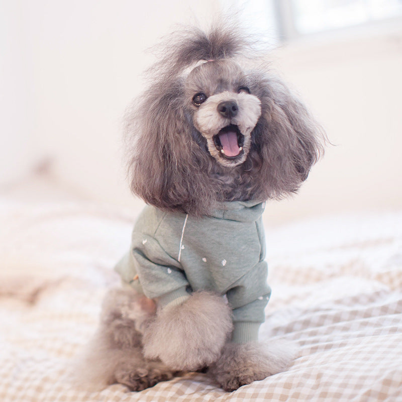 Dog clothes, pet clothes