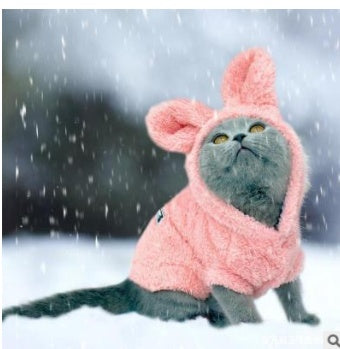 Plush cat clothes
