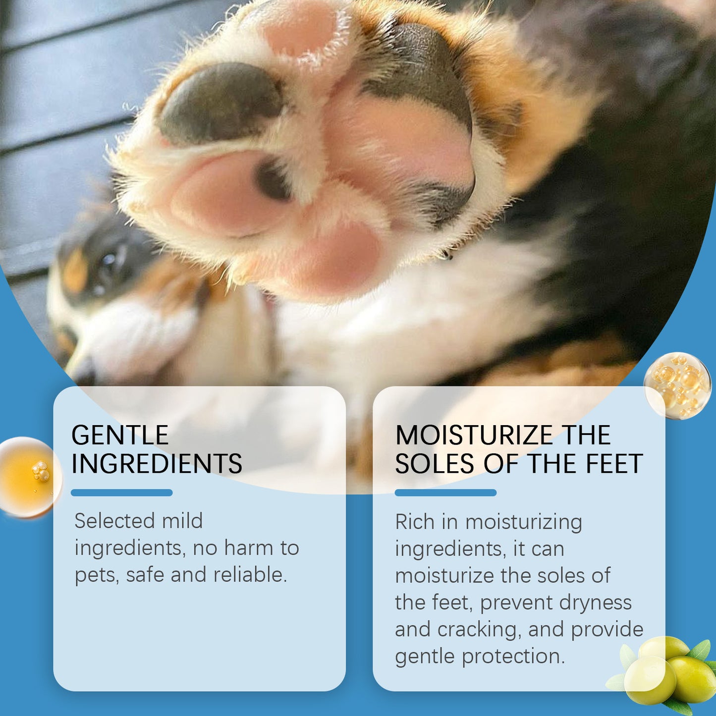 Dog Cat Foot Maintenance Moisturizing Foot Foot Pad Care