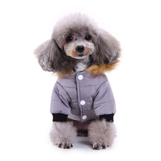 Winter clothes for pets 