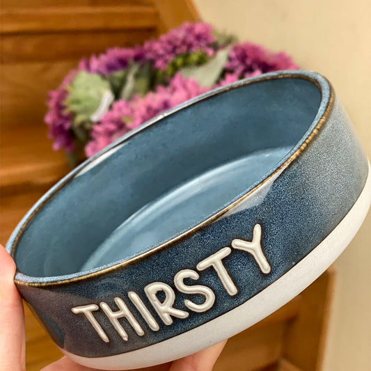 Making Old Pet Ceramic Bowls