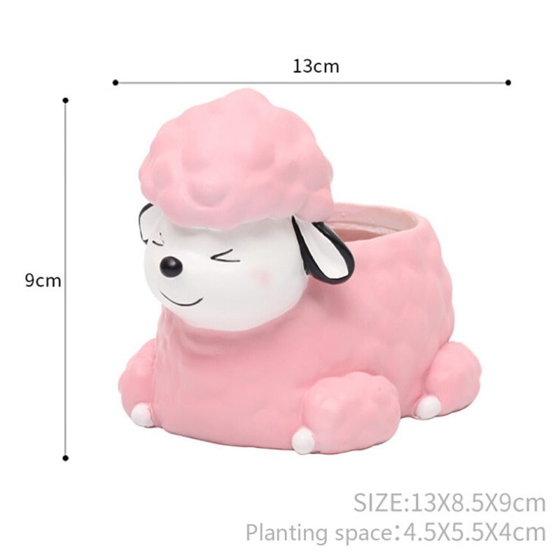 Pot of sleeping succulent flowers for pets