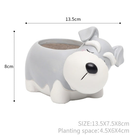 Pot of sleeping succulent flowers for pets