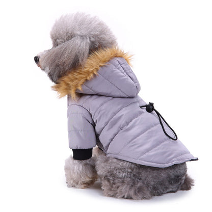 Winter clothes for pets 