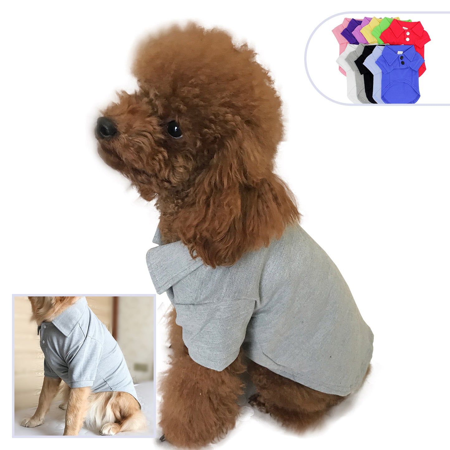Polo shirt for pets 