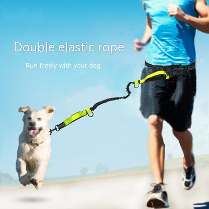 Pet Products: Multifunctional Traction Rope