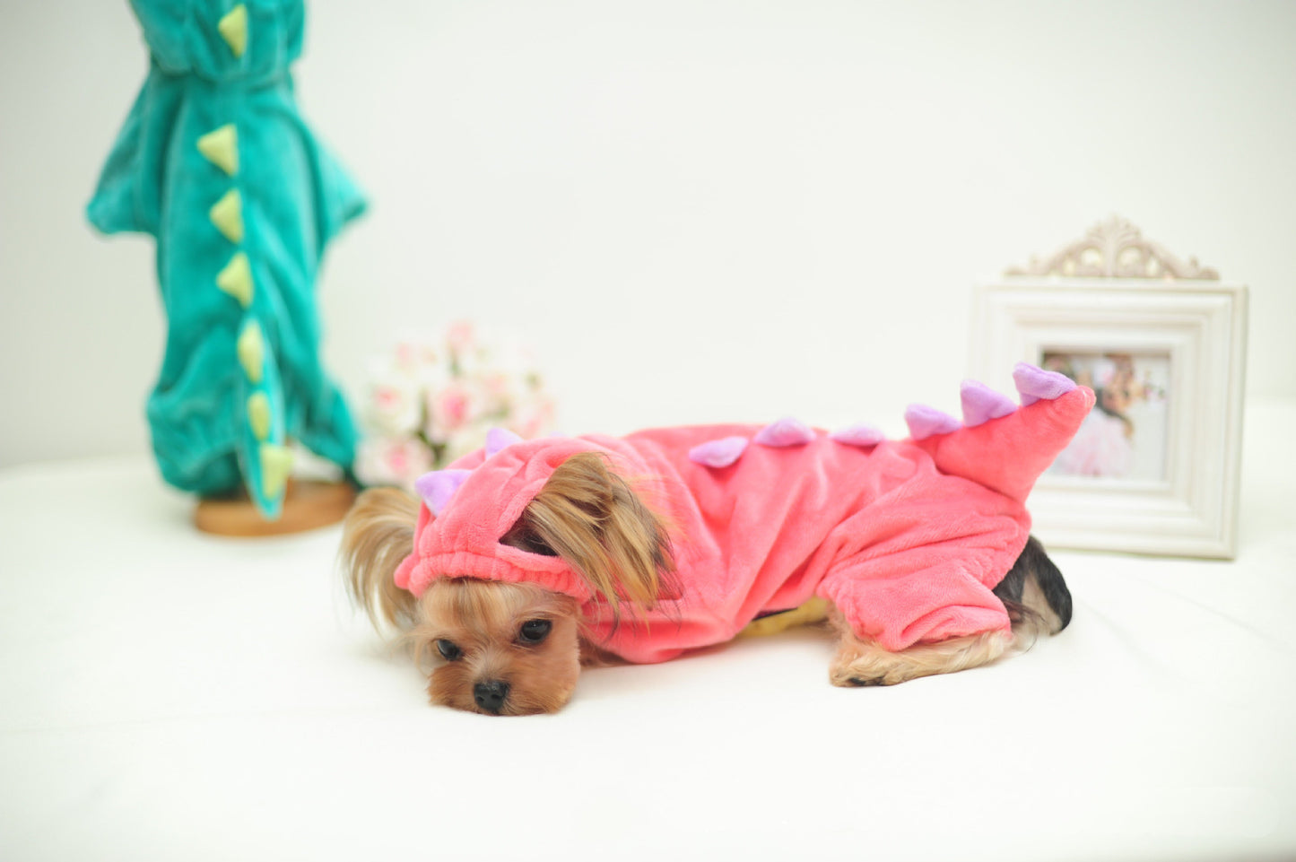 Funny Pet Dog Halloween Dinosaur Transformation Costume