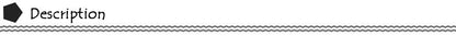 Women Running Shoes Breathable Casual Shoes Outdoor Light Weight Sports Shoes Casual Walking Sneakers Tenis Feminino Shoes