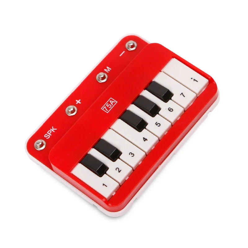Electronic Building Blocks Science Kits For Kids Integrated Circuit Module Music Amplifier Module Radio Module Electronic Module Parts A