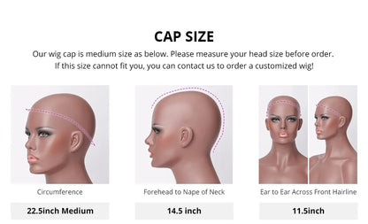 100% Human Hair Wig Glueless Braided Closure Hd Lace Frontal Wig Pre Cut Vietnamese Straight Short Bob Lace Front Wig for Women