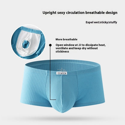 Men's Cotton Boxer Briefs, Four Seasons Universal