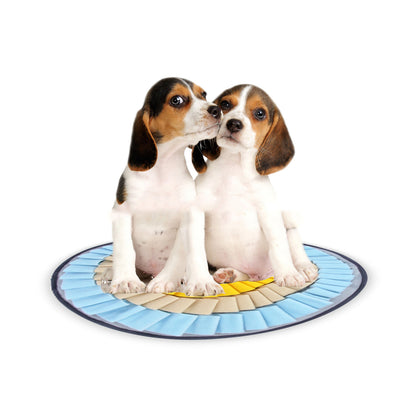 Round Rainbow Plumeria Pet Sniffing Pad