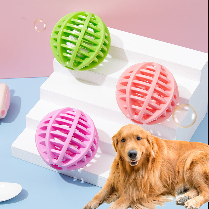 The New Pet Dog Toy Is Bite Resistant