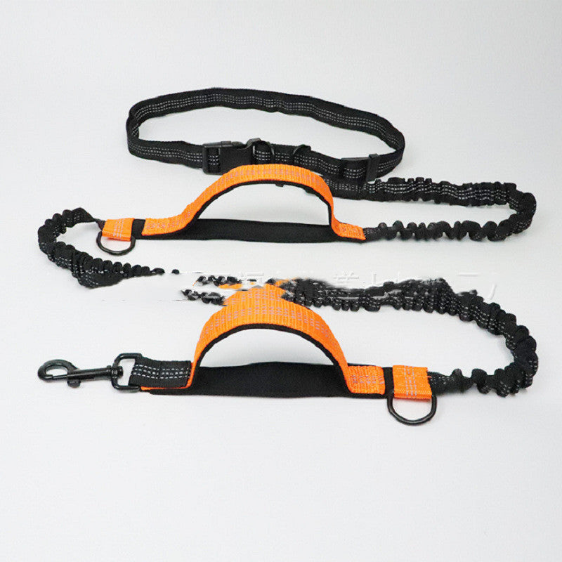 Pet Products: Multifunctional Traction Rope
